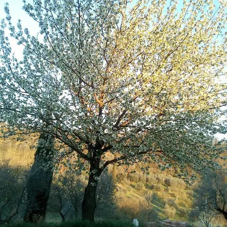Poggio Del Sole *